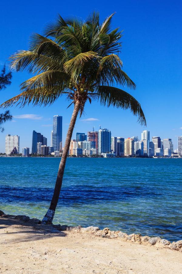 מיאמי Enchanting Cozy Apartment 10 Min Away From Airport, Calle 8, Brickell, Coral Gables, The Beach And More! מראה חיצוני תמונה