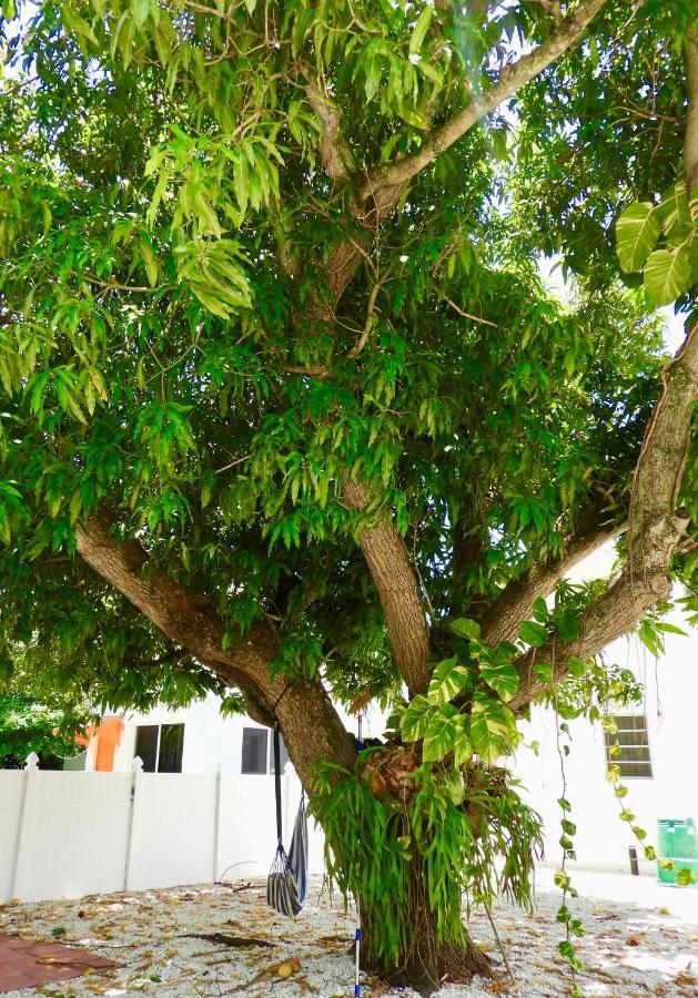 מיאמי Enchanting Cozy Apartment 10 Min Away From Airport, Calle 8, Brickell, Coral Gables, The Beach And More! מראה חיצוני תמונה